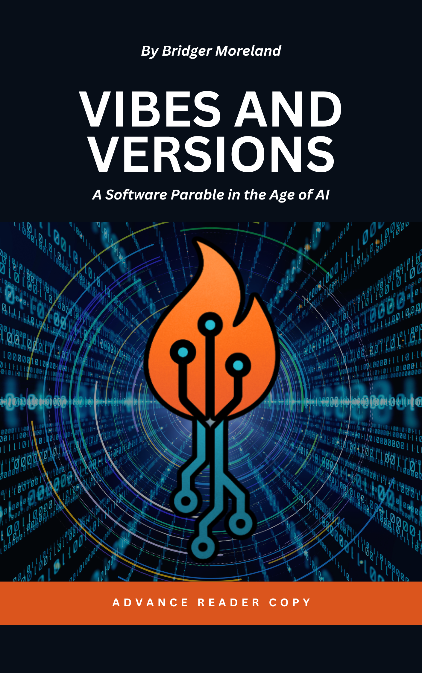 Vibes and Versions book cover